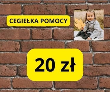 Main photo uploaded by the user