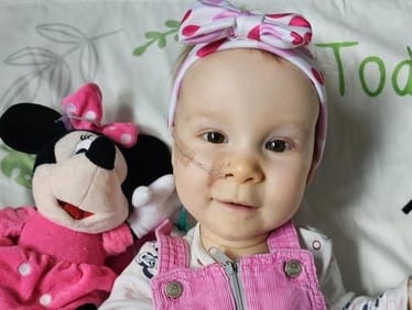 Zdjęcie główne wgrane przez użytkownika