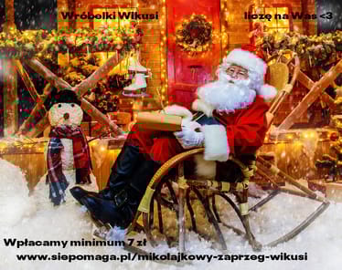 Main photo uploaded by the user