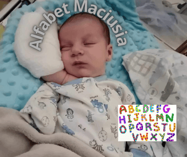 Zdjęcie główne wgrane przez użytkownika