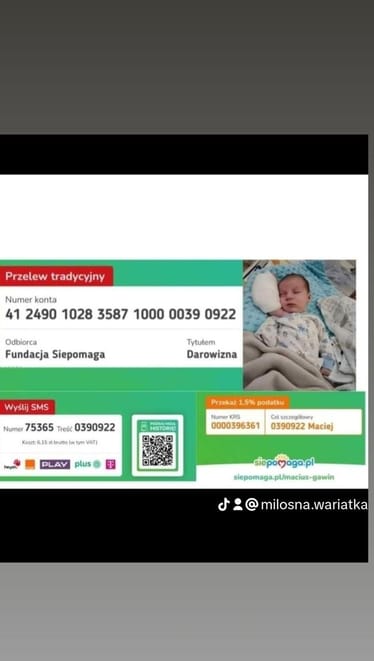 Zdjęcie główne wgrane przez użytkownika