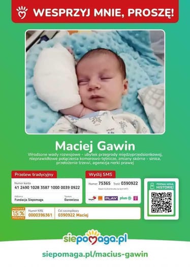 Zdjęcie główne wgrane przez użytkownika