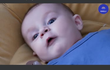 Main photo uploaded by the user