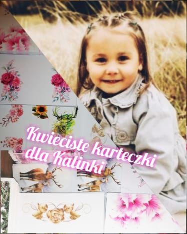 Zdjęcie główne wgrane przez użytkownika