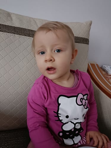 Zdjęcie główne wgrane przez użytkownika