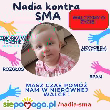 Zdjęcie główne wgrane przez użytkownika