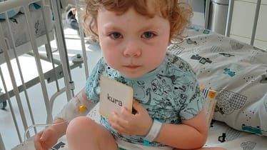 Zdjęcie główne wgrane przez użytkownika