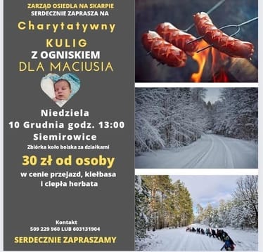 Zdjęcie główne wgrane przez użytkownika