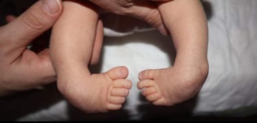 Zdjęcie główne wgrane przez użytkownika