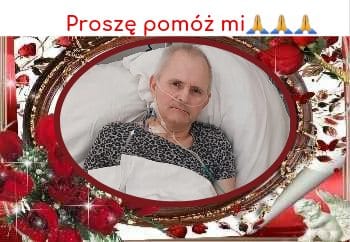 Zdjęcie główne wgrane przez użytkownika