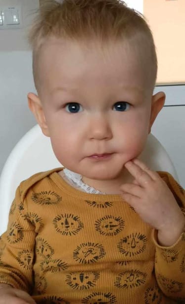 Zdjęcie główne wgrane przez użytkownika