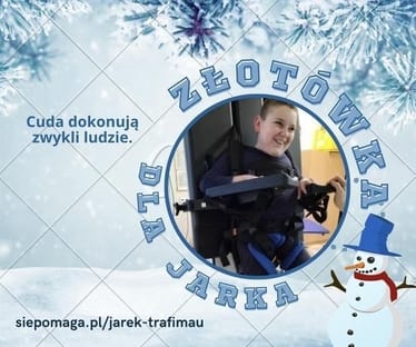 Main photo uploaded by the user