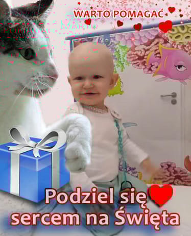 Zdjęcie główne wgrane przez użytkownika