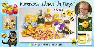 Zdjęcie główne wgrane przez użytkownika