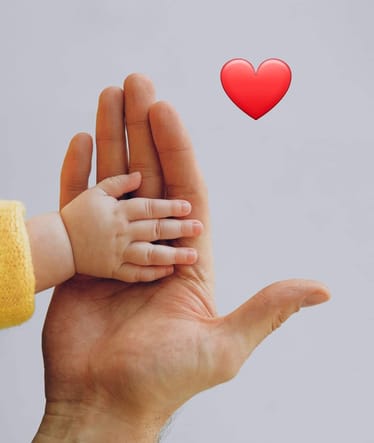 Main photo uploaded by the user