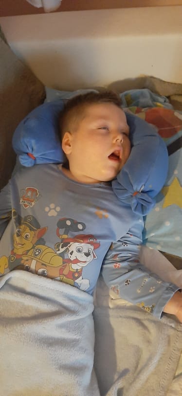 Main photo uploaded by the user