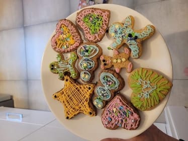 Zdjęcie główne wgrane przez użytkownika