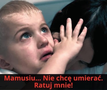 Zdjęcie główne wgrane przez użytkownika