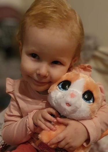 Main photo uploaded by the user