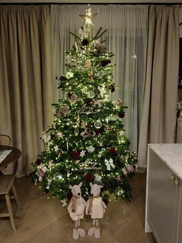 Zdjęcie główne wgrane przez użytkownika