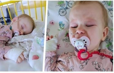 Zdjęcie główne wgrane przez użytkownika