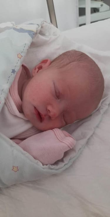 Zdjęcie główne wgrane przez użytkownika