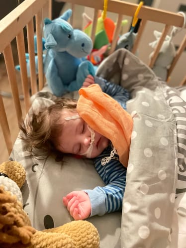 Main photo uploaded by the user