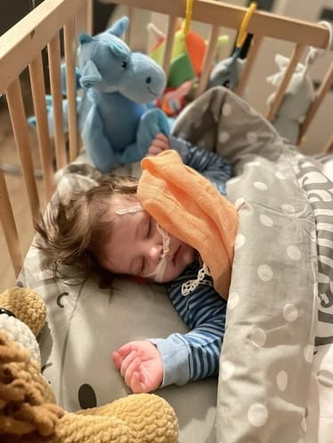 Zdjęcie główne wgrane przez użytkownika