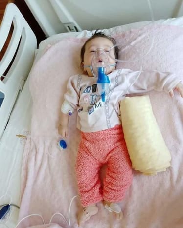 Main photo uploaded by the user