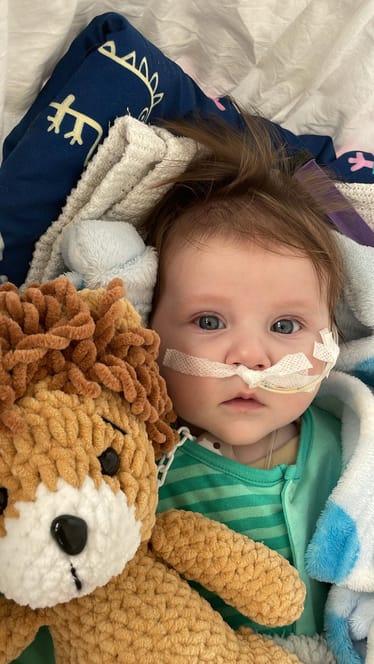 Zdjęcie główne wgrane przez użytkownika