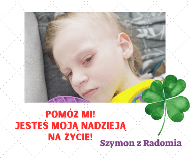 Zdjęcie główne wgrane przez użytkownika