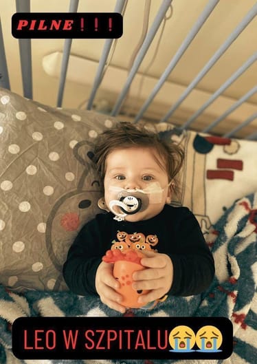 Zdjęcie główne wgrane przez użytkownika