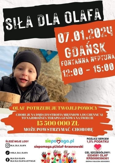 Zdjęcie główne wgrane przez użytkownika