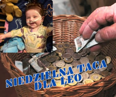 Zdjęcie główne wgrane przez użytkownika