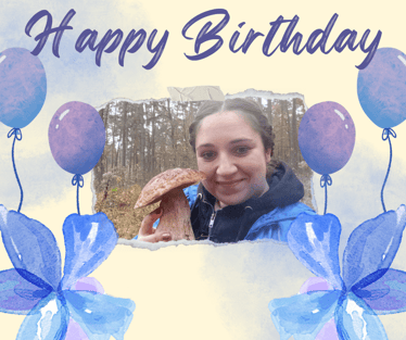 Main photo uploaded by the user