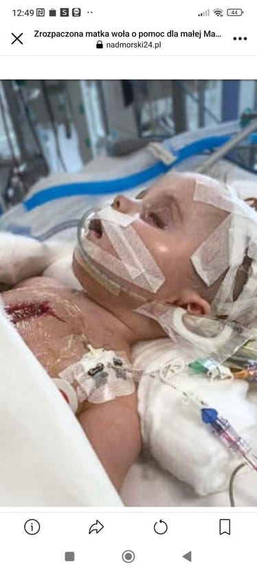 Zdjęcie główne wgrane przez użytkownika