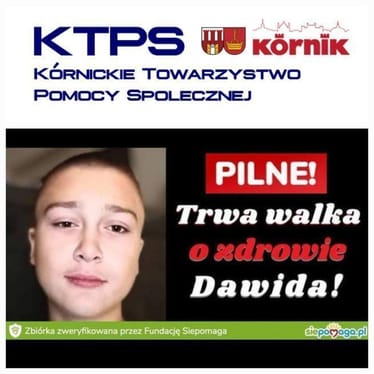 Main photo uploaded by the user