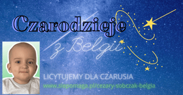 Main photo uploaded by the user