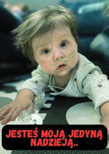 Zdjęcie główne wgrane przez użytkownika