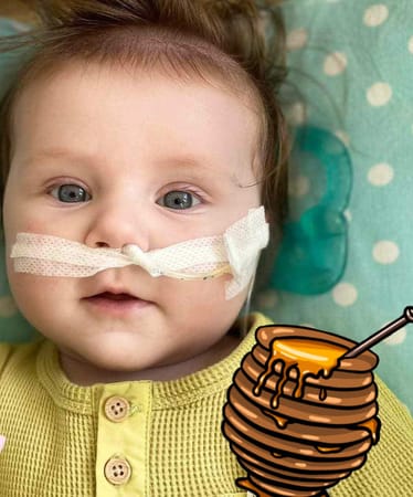 Zdjęcie główne wgrane przez użytkownika