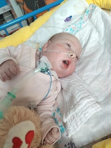 Zdjęcie główne wgrane przez użytkownika
