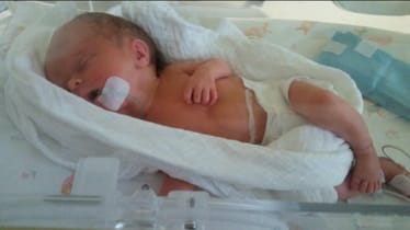 Zdjęcie główne wgrane przez użytkownika