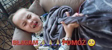 Main photo uploaded by the user