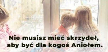 Main photo uploaded by the user