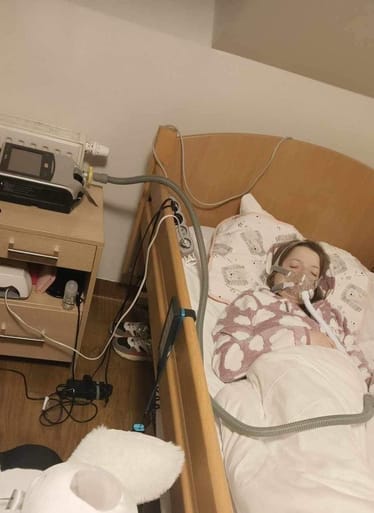 Main photo uploaded by the user