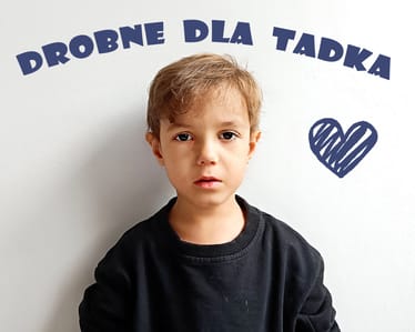Zdjęcie główne wgrane przez użytkownika