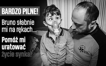 Zdjęcie główne wgrane przez użytkownika