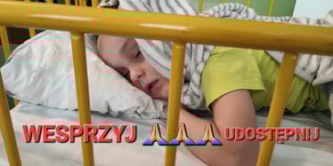 Zdjęcie główne wgrane przez użytkownika