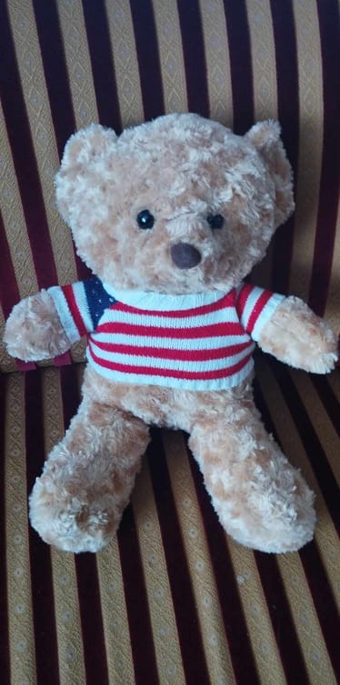 Main photo uploaded by the user