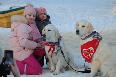 Main photo uploaded by the user